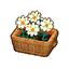White Cosmos HHD Icon.png