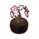Potted W. Weeping Sakura PC Icon.png