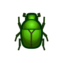 Drone Beetle