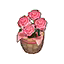 Pink Carnations HHD Icon.png