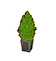 Cypress Plant HHD Icon.png