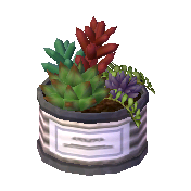 Succulent Plant NL Model.png