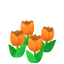 Orange Tulips NBA Badge.png