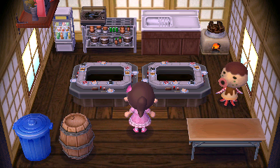 Interior of Zucker's house in Animal Crossing: New Leaf