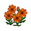 Orange Cosmos (Outside) HHD Icon.png