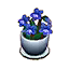 Blue Violets HHD Icon.png