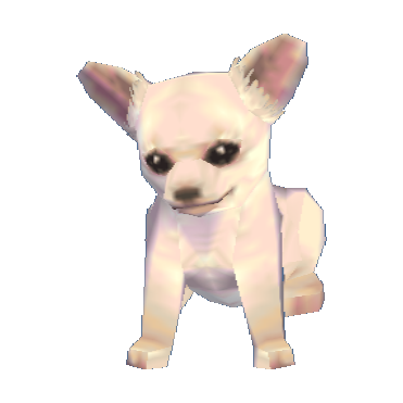 Chihuahua Model