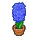 Blue-Hyacinth Plant NH Inv Icon.png