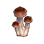 Skinny Mushroom HHD Icon.png