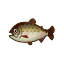 Stringfish HHD Icon.png