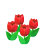 Red Tulips NBA Badge.png