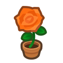 Orange-Rose Plant NH Inv Icon.png