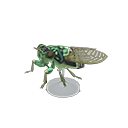 Robust Cicada Model NH Icon.png