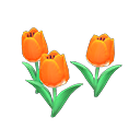Orange-tulip plant