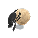 Dung Beetle Model
