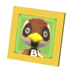 Sparro's Pic NL Model.png