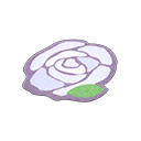 White rose rug