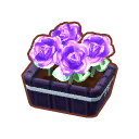 Potted G. Purple Roses PC Icon.png