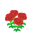 Red Carnations NBA Badge.png