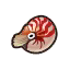 Chambered Nautilus HHD Icon.png