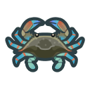 Gazami Crab