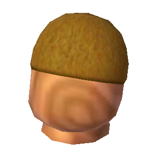 Red Beanie & Blonde Hair, Roblox Wiki