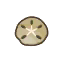 Sand Dollar HHD Icon.png