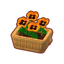 Potted Coral Pansies PC Icon.png