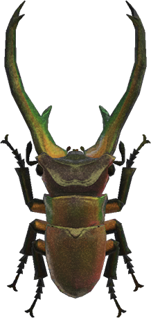 Cyclommatus stag - Animal Crossing Wiki - Nookipedia