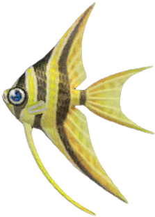 Artwork of Angelfish