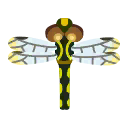 Petaltail dragonfly