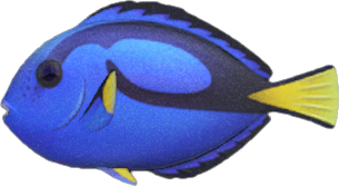 https://dodo.ac/np/images/6/6a/Surgeonfish_NH.png