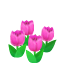Pink Tulips NBA Badge.png