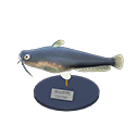Catfish Model