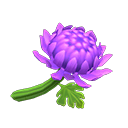 Purple Mums NH Icon.png