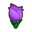 Purple Tulips CF Icon.png