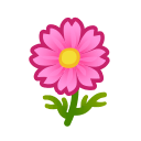 Pink Cosmos NH Inv Icon.png