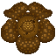 Wilted Rafflesia CF Sprite.png