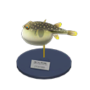 Blowfish Model