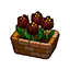 Black Tulips HHD Icon.png