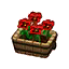 Red Pansies HHD Icon.png