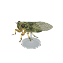Walker Cicada Model NH Icon.png