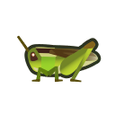 Rice Grasshopper NH Icon.png