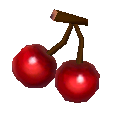Cherry (Item) NL Model.png