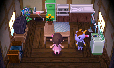 Interior of Kidd's house in Animal Crossing: New Leaf