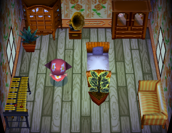 Lulu (anteater)'s house interior