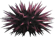 Artwork of Sea Urchin