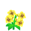 Yellow Lilies NBA Badge.png