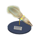 Squid model