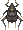 Bell Cricket PG Field Sprite.png